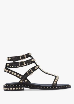 Fashion DANIEL Eternal Black Leather Studded Gladiator Sandals