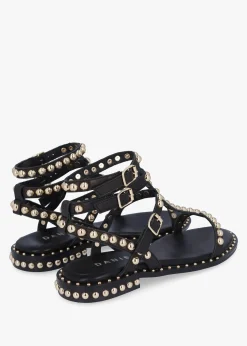 Fashion DANIEL Eternal Black Leather Studded Gladiator Sandals