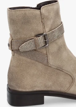 Outlet MODA IN PELLE Panazol Taupe Suede Studded Strap Ankle Boots