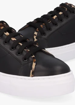 Discount DANIEL Panny Black Leather Leopard Trainers