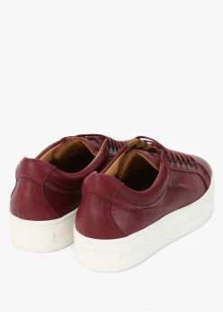 Outlet DANIEL Piccadilly Circus Burgundy Leather Flatform Trainers