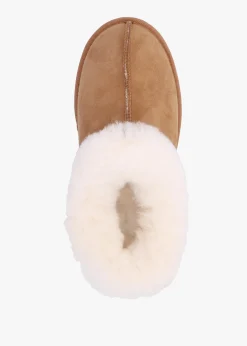New DANIEL Somolly Tan Suede Shearling Slippers